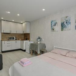 1-комнатные апартаменты студия