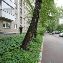 Номер студия улучшенный