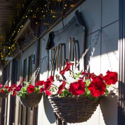 Фото Отель HappyInn (ХэппиИнн)