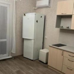 Фото Апартаменты на проспекте Химиков 36 корпус 2