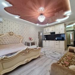 1-комнатные апартаменты студия