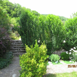 Фото Отель Гостевой Дом Нэста