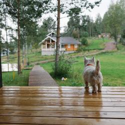 Фото Отель Forrest Lodge Karelia (Форрест Лодж Карелия)