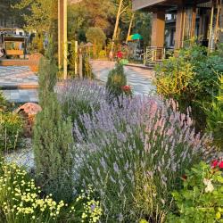 Фото Отель Зона отдыха Parkent Ijod Uyi (Паркент Ижод Уйи)