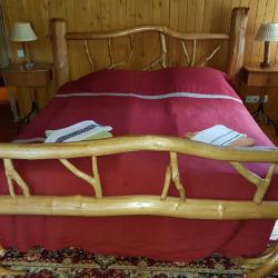Номер стандарт с 1 двуспальной кроватью (с пансионом)