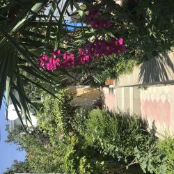 Фото Отель Анни