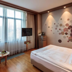 Фото Отель Ibis Styles Красная Поляна (Ибис Стайлс)