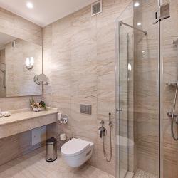 Номер полулюкс (мансарда)