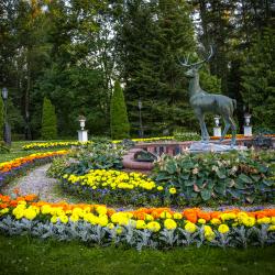 Фото Отель Морозовка