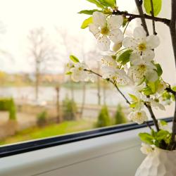 Фото Отель Origami на улице Ленинградская 2