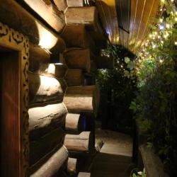 Фото Отель Баня-Дом