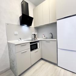 2-комнатные апартаменты стандарт в центре Тюмени с живописным прудом