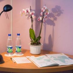 Фото Отель Ристория