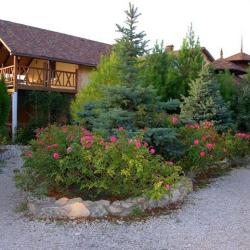 Фото Отель Марлин