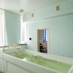 Фото Отель Ателика Снежка