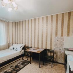 Фото Апартаменты на улице Титова 238/2