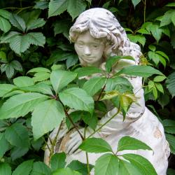 Фото Отель ский двор