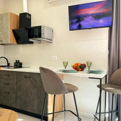 Апартаменты студия гостиничный комплекс Радуга 10И