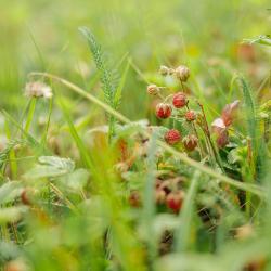 Фото Отель Тутань