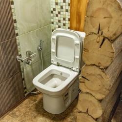 1-комнатный номер Советский