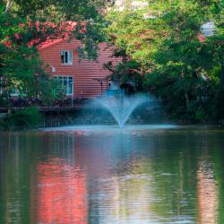 Фото Парк-отель Озеро Дивное