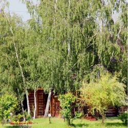 Фото Парк отель Парус