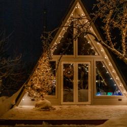 Дом у сосны