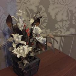 Фото Отель Жара