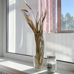 Фото Отель ZebraHome (ЗебраХоум) на Приморском бульваре