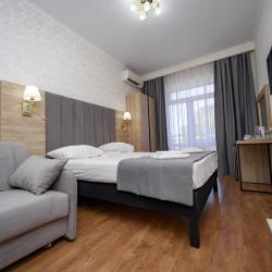 2-местный номер комфорт (вид на парк)