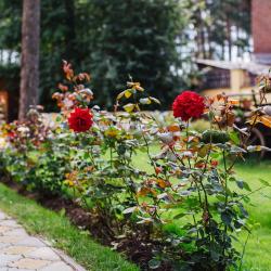 Фото Отель Дом Шале