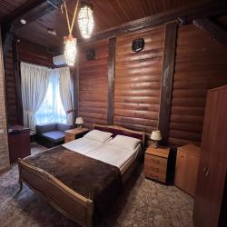 Фото Отель Викинг