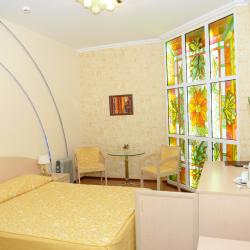 Номер стандарт с 1 двуспальной кроватью (без окна)