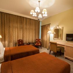 Номер делюкс с 2 односпальными кроватями