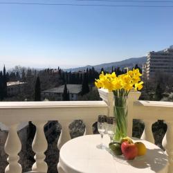 1-комнатные апартаменты с балконом и кухней