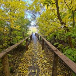 Фото Отель Надежда