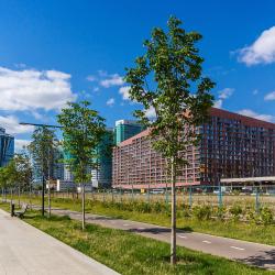 фото 45 Art Apart (Арт Апарт) на Ходынском 20А