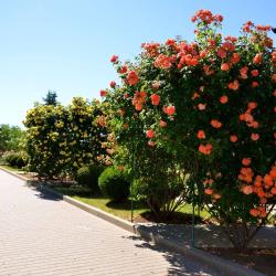 Фото Отель Сакрополь