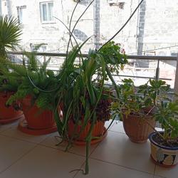 Фото Отель У Кости