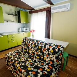 Комната стандарт с 1 двуспальной кроватью и кухней