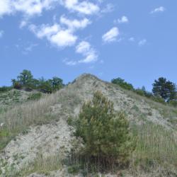 Фото Отель Аммонит