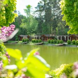 Фото Отель ArtiLand (АртиЛэнд)