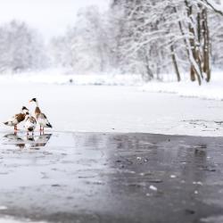 Фото Отель А у реки