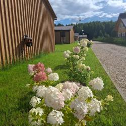 3-комнатный коттедж у пруда в лесу №11