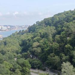 1-комнатные апартаменты студия