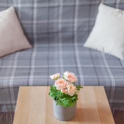 Фото Отель RentPlaza (РентПлаза) на улице Гастелло