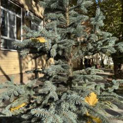 Фото Апартаменты Причал на Ленинградском шоссе 53А