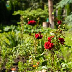 Фото Отель Mountains (Маунтинс)