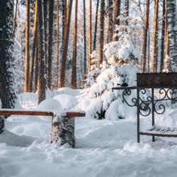 Просторные апартаменты с ремонтом, балконом, видом на лес 207 (60м2)