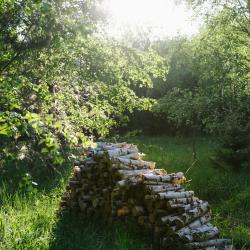 Фото Отель Луно